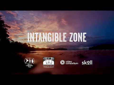 Intangible Zone | #SolutionsInsideOut | Amazon Conservation Team