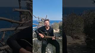 Mustafa ceceli limon çiçekleri cover