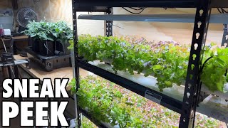 Upcoming Hydroponic Systems