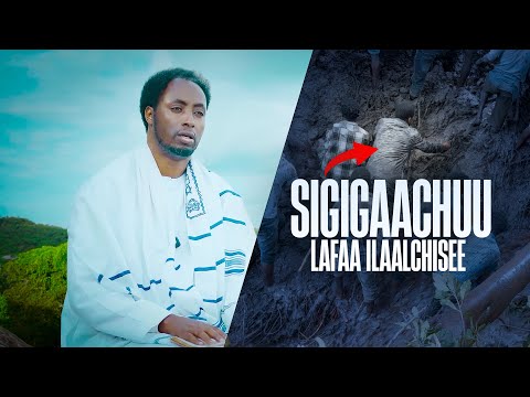 Sigigaachuu Lafaa Ilaalchisee Aajii Masarat Taayyee Namni Hundinuu Ilaaluu Kan Qabu ARARA TV