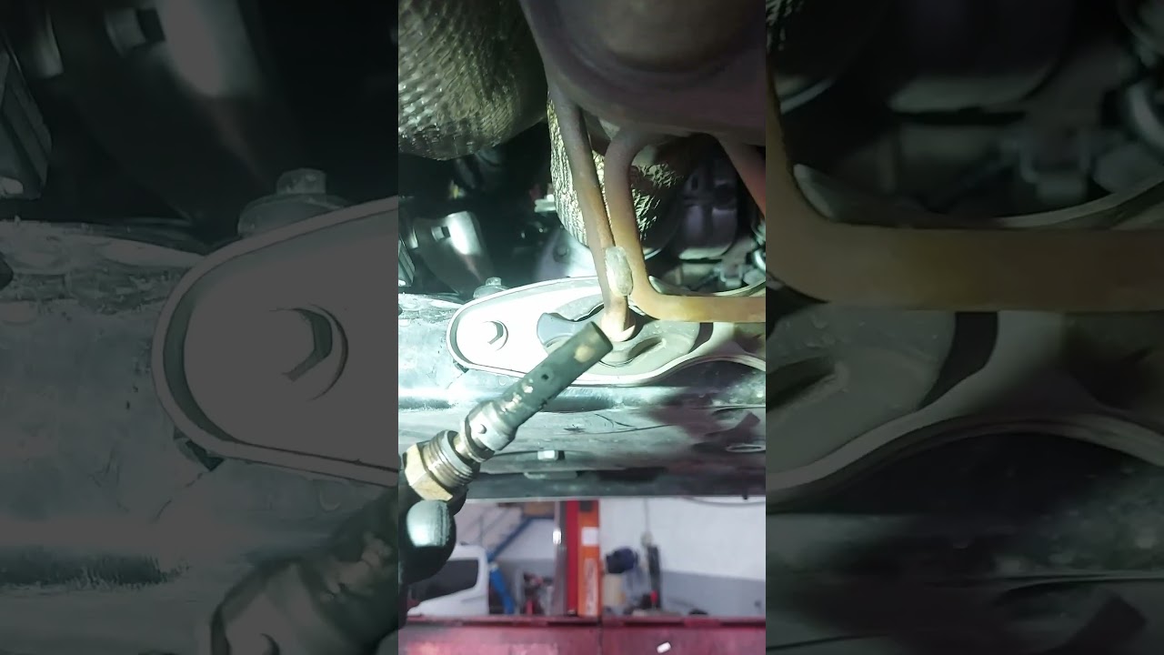 Нет регенерации Ford Durateck 