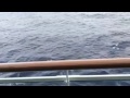 Norwegian Epic Balcony Cabins views explained NCL Transatlantic Miami - Barcelona Norwegian Epic Balcony Cabins views explained NCL Transatlantic Miami - Barcelona