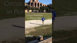 Roger W. the Traveling Yorkie visits Circus Maximus in Rome, Italy #romeitaly #dogtravel #yorkie