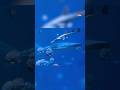 Robot Whale Shark Angers Visitors To China Aquarium 