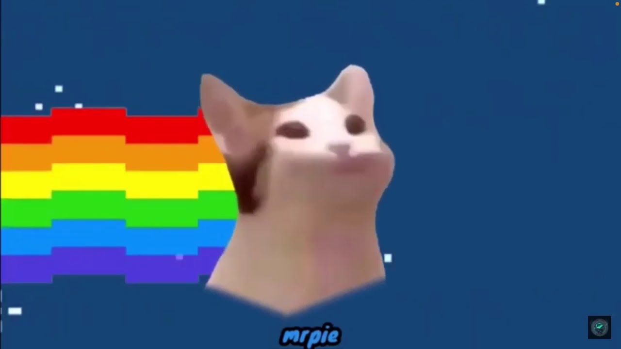 Pop Cat Meme Compilation