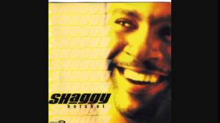 Shaggy - Why me lord