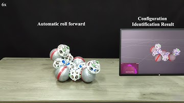 Configuration Identification for a Freeform Modular Self-reconfigurable Robot - FreeSN