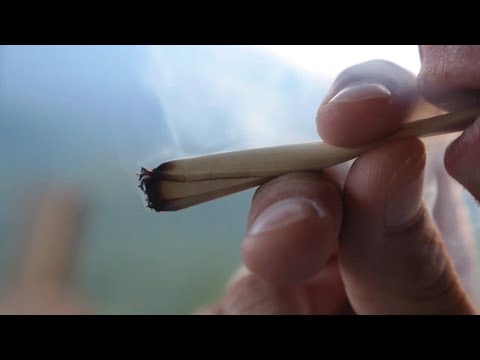 Smoking weed can also very neatly be extra unsuitable to lungs than cigarettes - learn thumbnail