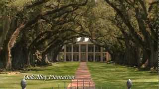 New Orleans Plantation Country Tour - Oak Alley Plantation