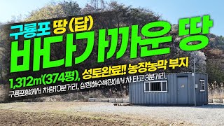 2025-0402. 바다가까운 땅, 포항 구룡포 삼정해수욕장 가까운 잘가꾸어 놓은 농장 농막 부지 삼정지구 하정지구 가까운 포항 구룡포 땅매매 창고부지 덕장부지 전원주택부지 매매