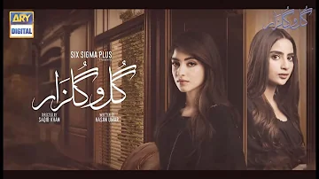 Gul-o-Gulzar ARY Drama Serial Full Details | Cast , Producer And All top pakistani dramas