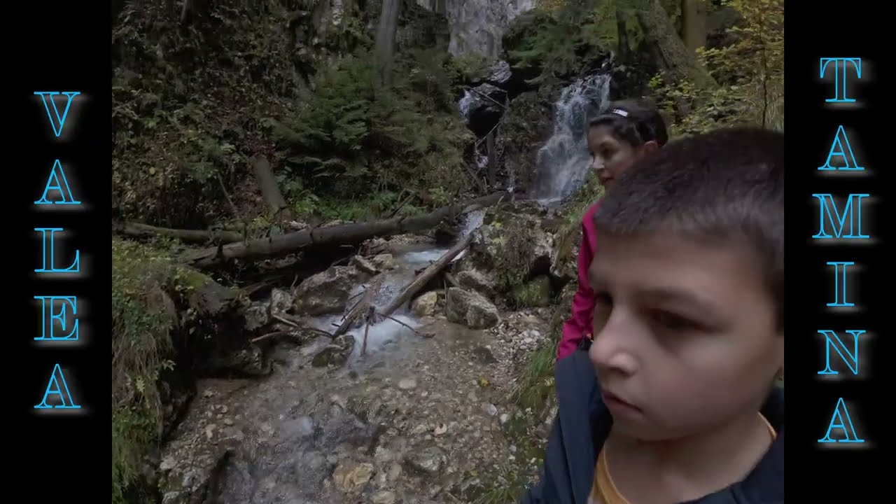Valea Tamina