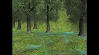 Project 9 : Rain simulation