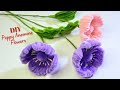 DIY Flower | How to Make Pipe Cleaner Poppy Anemone Flowers