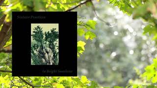 Aurum Nostrum / Sonne Hagal - Sinister Practices In Bright Sunshine (Full Album)