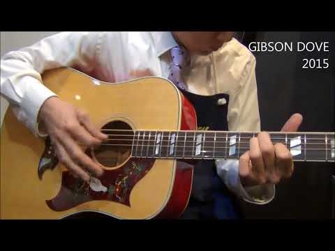 オットリーヤ動画】Gibson DOVE CUSTOM SHOP 2015 - YouTube