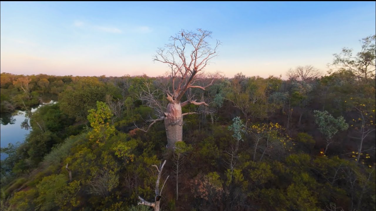 The Kimberleys, WA – Eagle’s Eye View (Stunning 4K Drone Footage) 🚁
