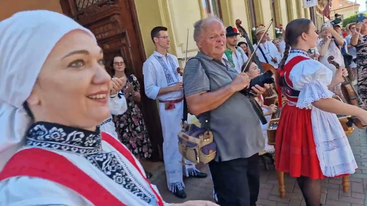 15. vstup ze Slováckého roku