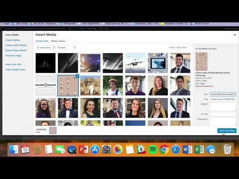 Uploading Infographics to WordPress
