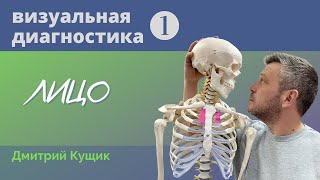 Симметрия лица. Визуальная диагностика лица - 1. Кинезиолог Дмитрий Кущик