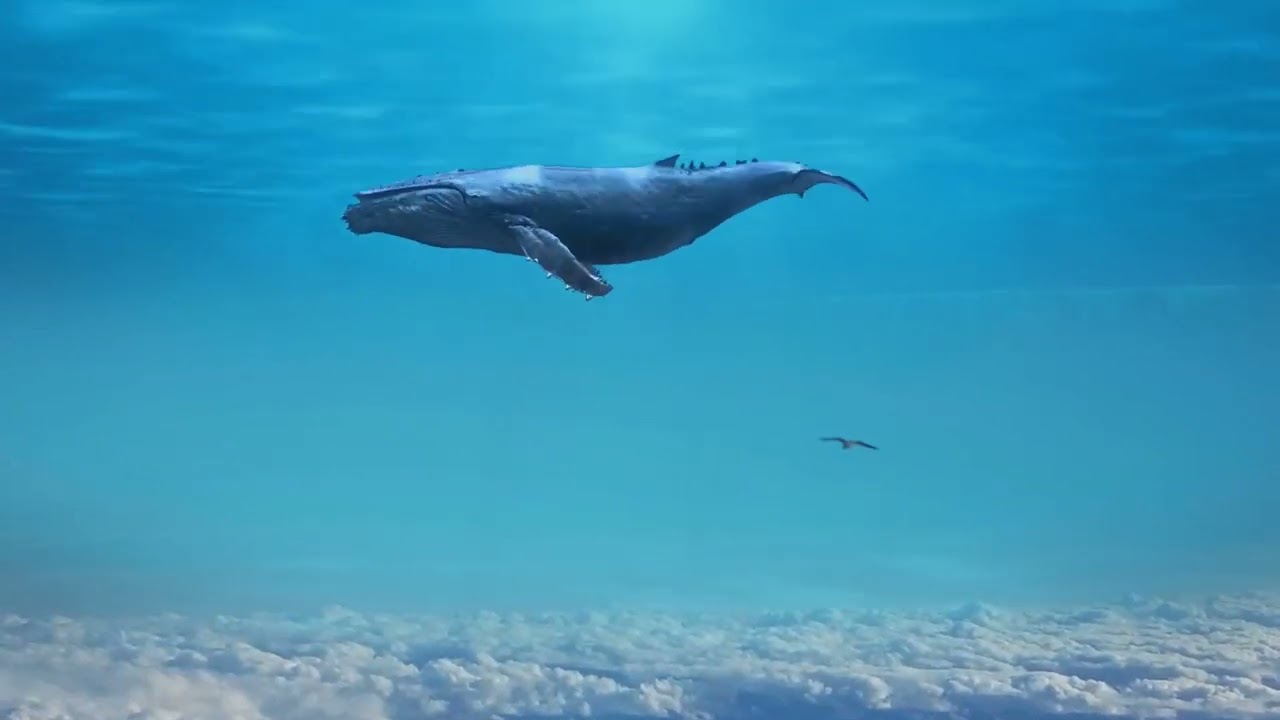 TUNGDI YAMI |NEW NYISHI SONG|CHERA BHAI RAREY|