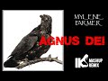 Mylne farmer  agnus dei iks mashupremix tribute vido