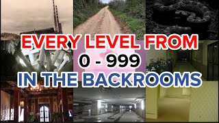 EVERY LEVEL FROM 0 - 999 IN THE BACKROOMS