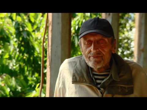 საფრთხის მოლოდინი