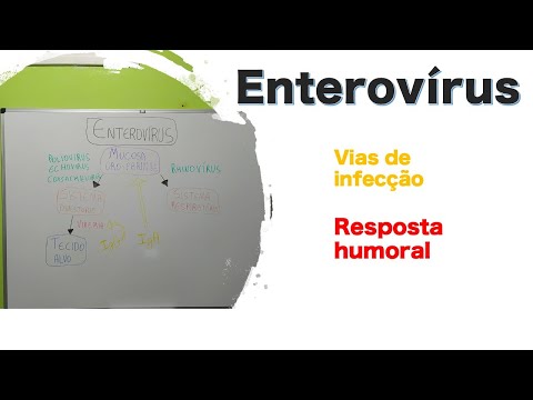 Vídeo: Você pode morrer de enterovírus?