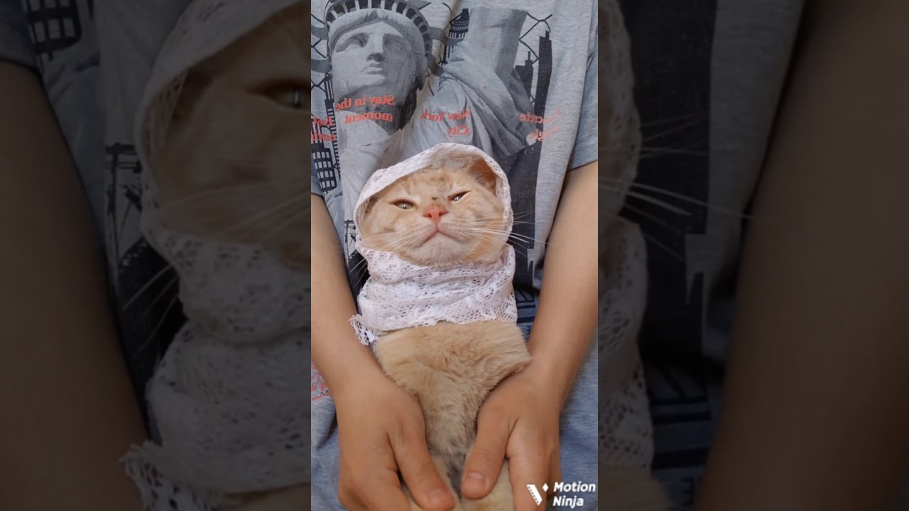 Mimi’s New Makeover 💅 + Trending Dance 😻🔥 