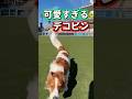 #大谷翔平 #shoheiohtani #shorts