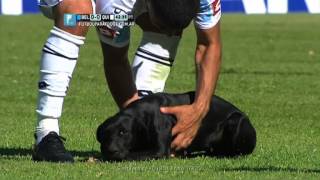 El perro del Kempes. Belgrano - Quilmes. Fecha 11. Torneo Primera División 2014. FPT.