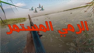 الرمي دون توقف  | إصابة الاهداف بالحركة البطيئة |Hunting in Iraq