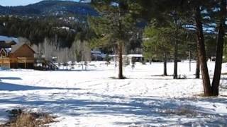 341 Conifer Dr video tour