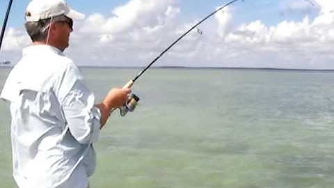 First ORC Video Segment 2008