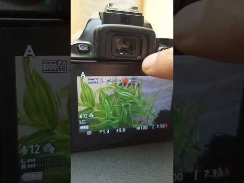 How to record