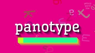 How To Say Panotype High Quality Voices
