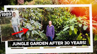 Growing a REAL Urban Jungle - Dr Simon Olpin's Sheffield Garden Paradise screenshot 5