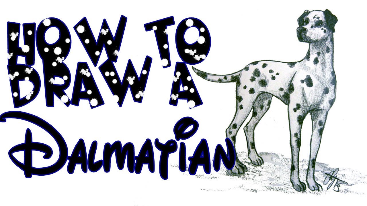 How To Draw A Dalmatian Dog Youtube