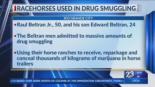 Racehorses Involved In Drug Trafficking Case