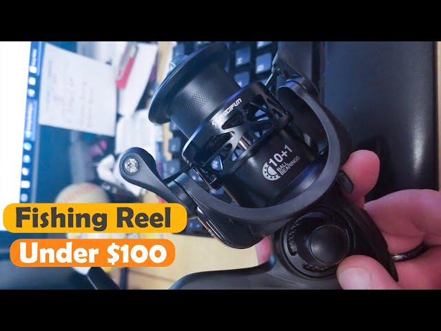 Top 7 Best Fishing Reels Under $100 for Your Next Fishing Trip