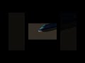 KLM flight 867 incident animation with ATC