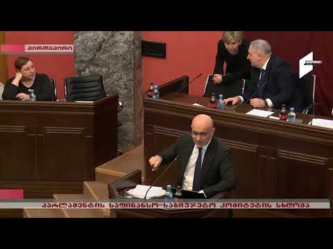 საქართველოს პარლამენტის საფინანსო-საბიუჯეტო კომიტეტის სხდომაზე, სადაც ივანე მაჭავარიანს უსმენენ...