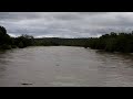 Youtube Thumbnail Africam - Olifants River Live Stream