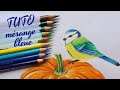 🐦 Tuto Mésange bleue - Illustration Davlina Art