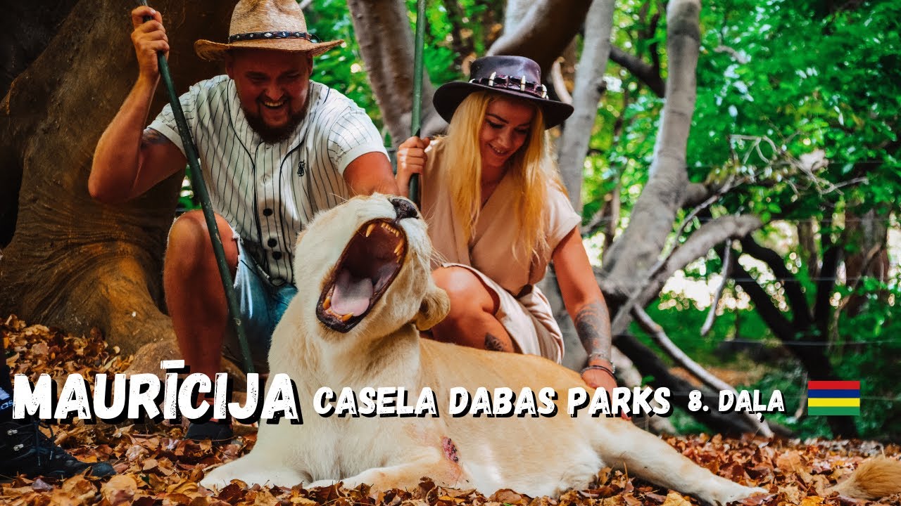 Pastaiga ar Lauvām - Bīstami vai nē? | Maurīcija | 8.Daļa | Mauritius