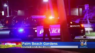 Shooting In Palm Beach Leaves Gang Member Dead, Deputy Injured