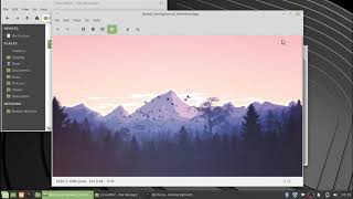 Linux Terminal Customization | Background Configuration