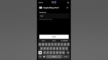 Crypto Slang. Part 1 Blum Code New