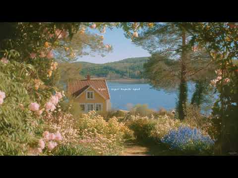 a quiet february playlist for reading, studying & writing